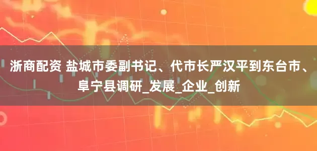 浙商配资 盐城市委副书记、代市长严汉平到东台市、阜宁县调研_发展_企业_创新