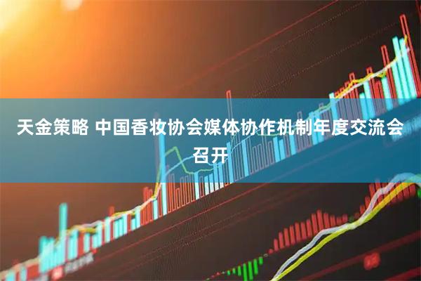 天金策略 中国香妆协会媒体协作机制年度交流会召开
