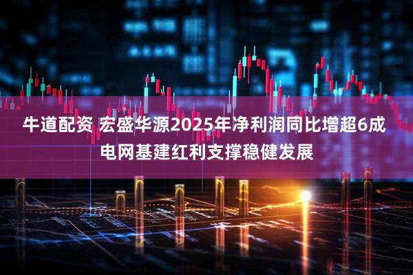 牛道配资 宏盛华源2025年净利润同比增超6成 电网基建红利支撑稳健发展
